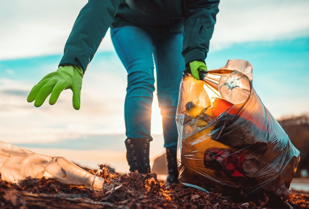 How to Celebrate Earth Day in April