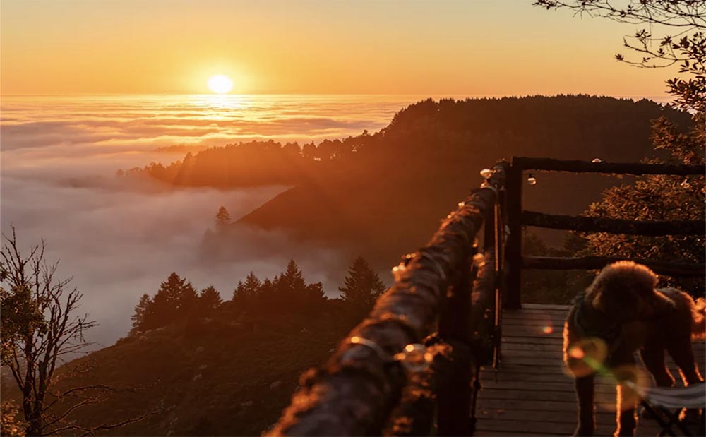 Kings Mountain Fancy Camp: A Magical Glamping On Top of The World in Woodside
