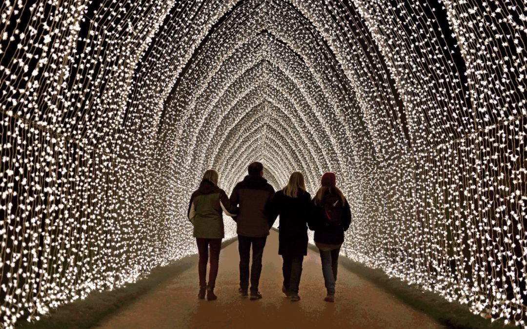 Let It Glow: The Best Holiday Illuminations Across the Bay Area in 2025