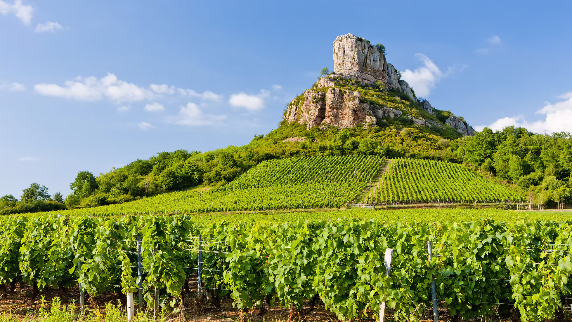 Une soirée Vins de la Vallée du Rhône avec Adagio chez La Loulou